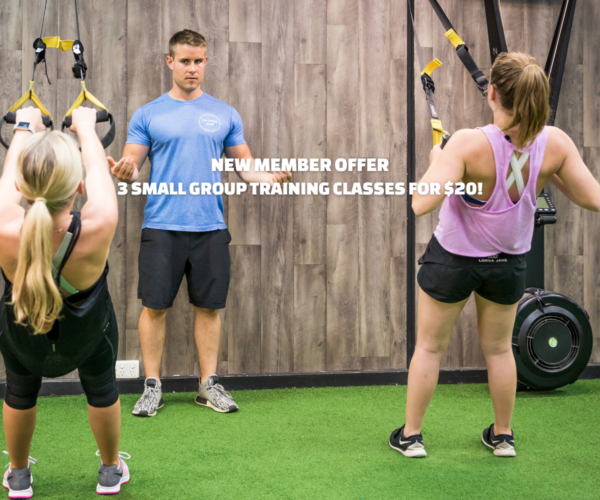 3 SMALL GROUP TRAINING CLASSES FOR $20